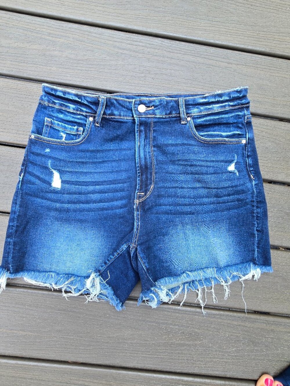 Zenna shorts sz 1X